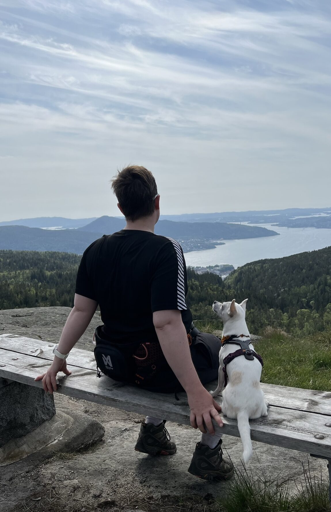 Hundetrener